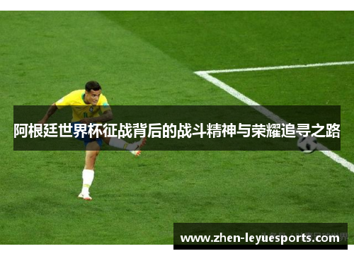 阿根廷世界杯征战背后的战斗精神与荣耀追寻之路