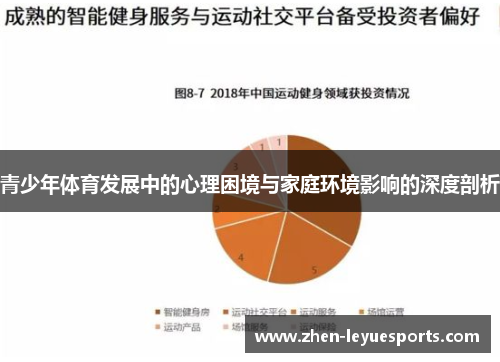 青少年体育发展中的心理困境与家庭环境影响的深度剖析