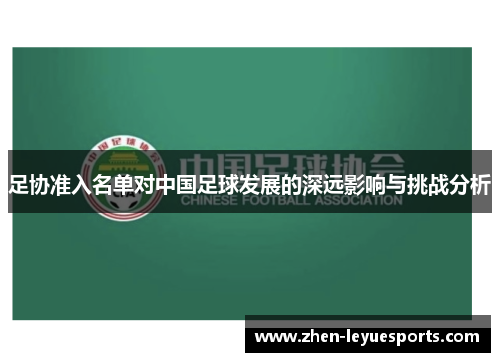足协准入名单对中国足球发展的深远影响与挑战分析